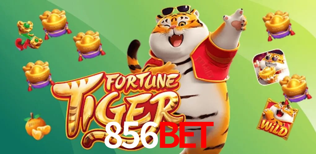 Experiência VIP 856bet