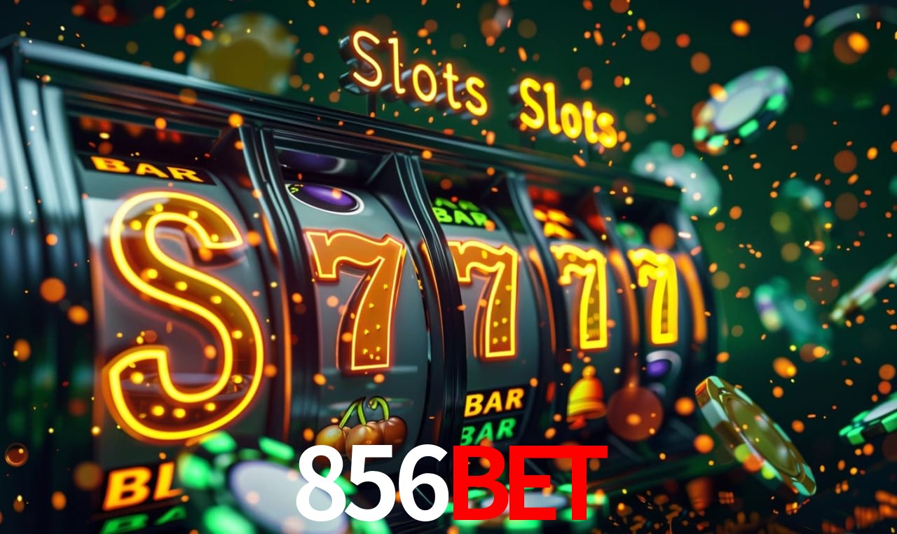 Programa VIP 856bet