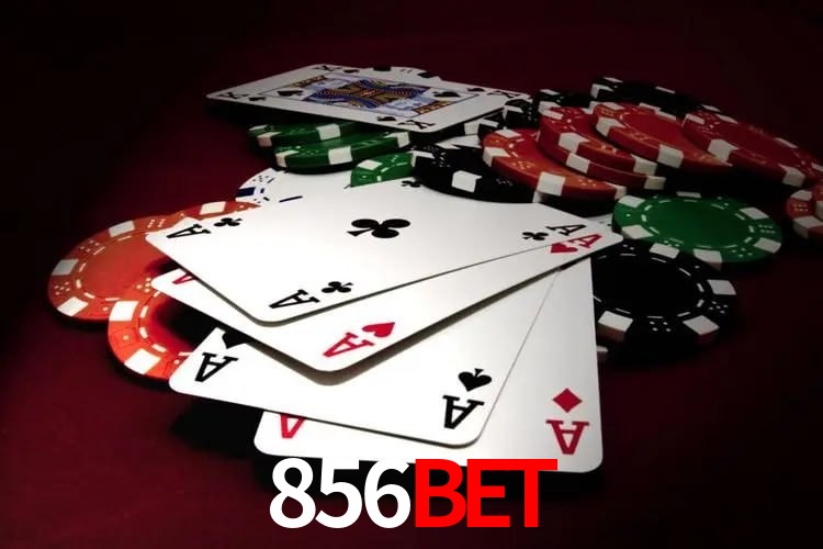 Interface Premium 856bet