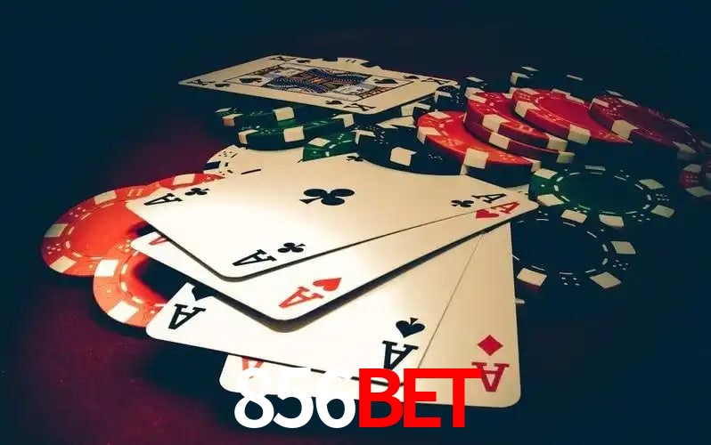 856bet visual 2