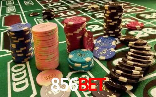 856bet