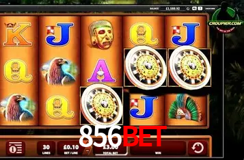 Interface do App 856bet